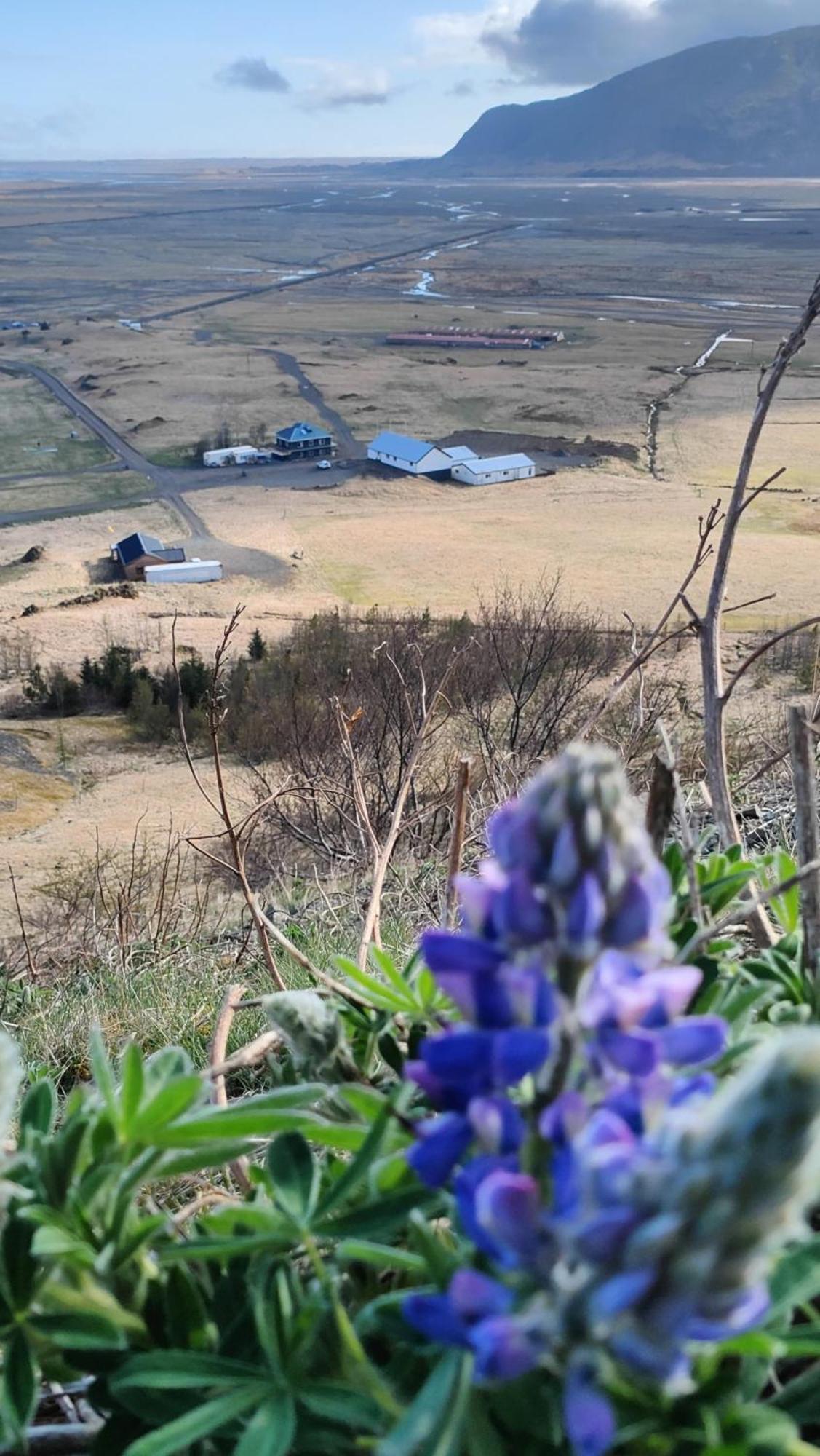 Glacier World - Hoffell Guesthouse Bagian luar foto